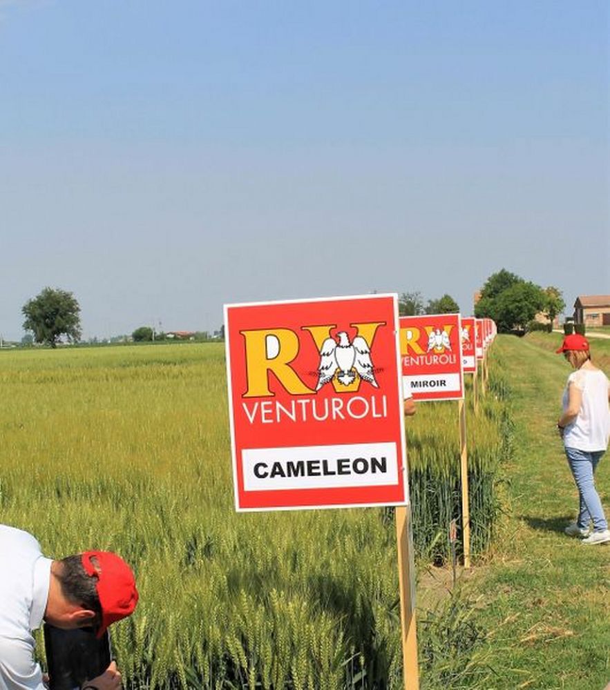 Campagna autunnale cereali a paglia RV Venturoli