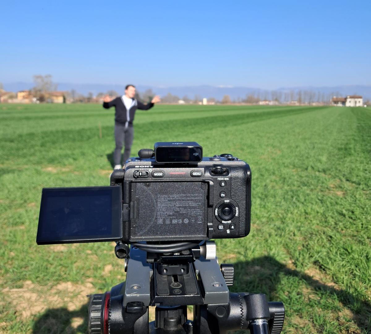 Il frumento ibrido in campo protagonista dei video di Agronomix