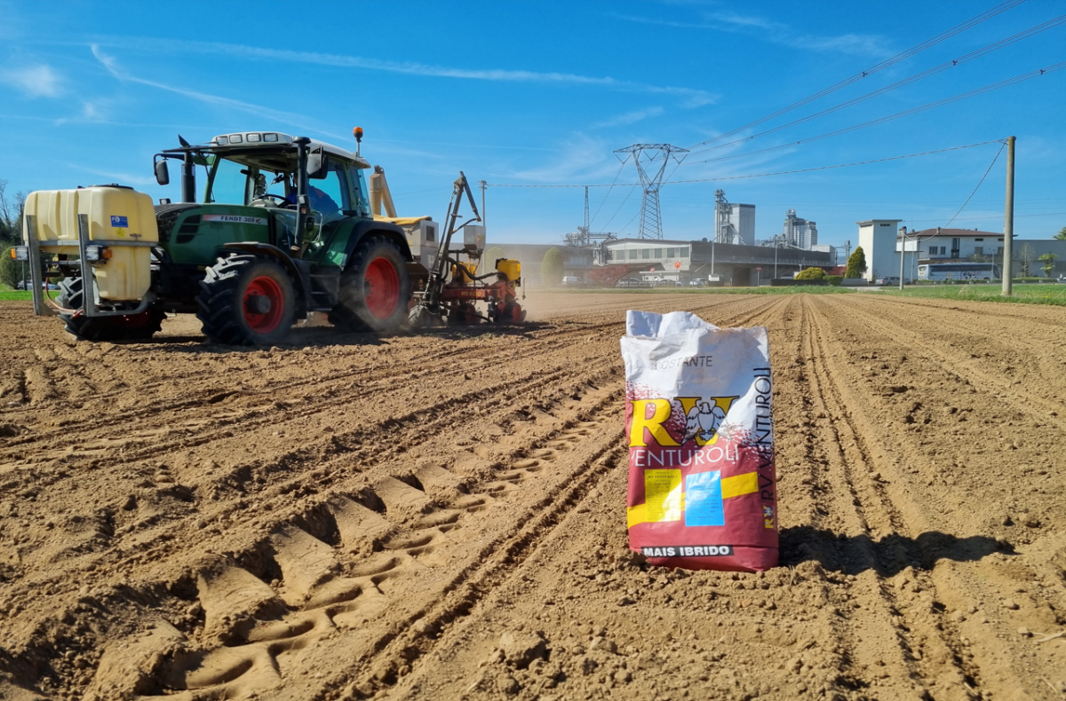 Al via i secondi raccolti con mais, sorgo e soia