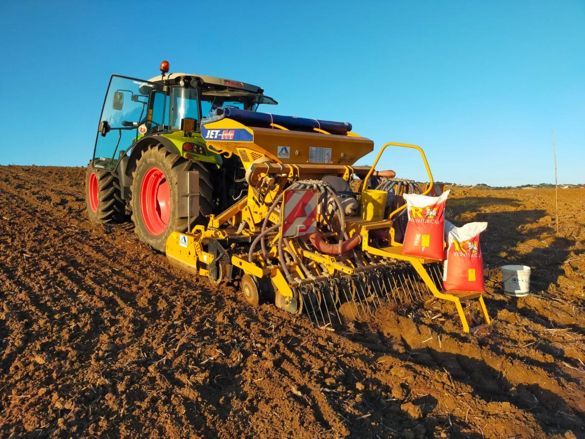 Semine 2025: su panificabili e orzo, giù forza e duri