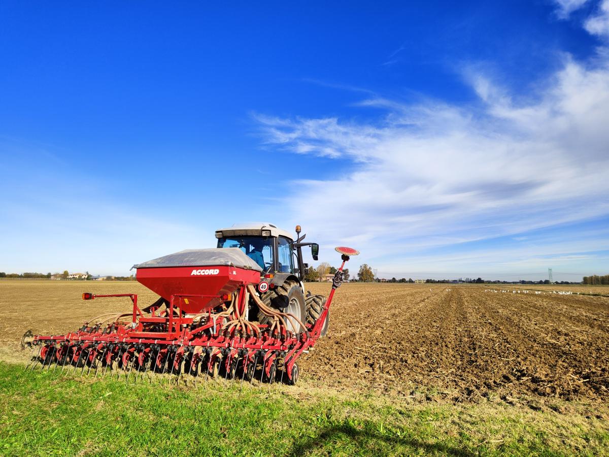 Con le semine a novembre è opportuno aumentare l’investimento