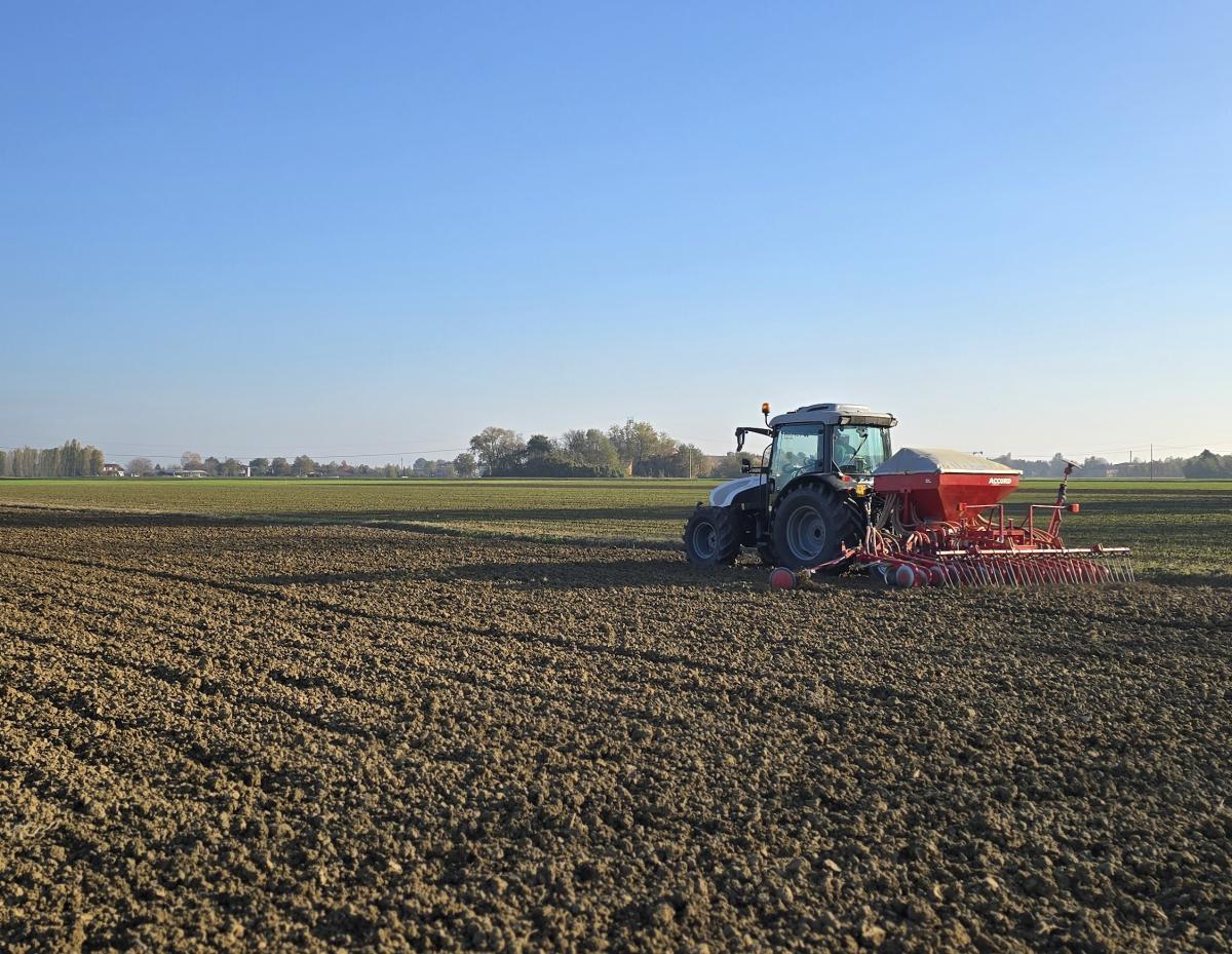 Con i cereali alternativi si può seminare sino a marzo